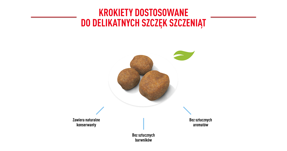 ROYAL CANIN Giant Puppy 15 kg